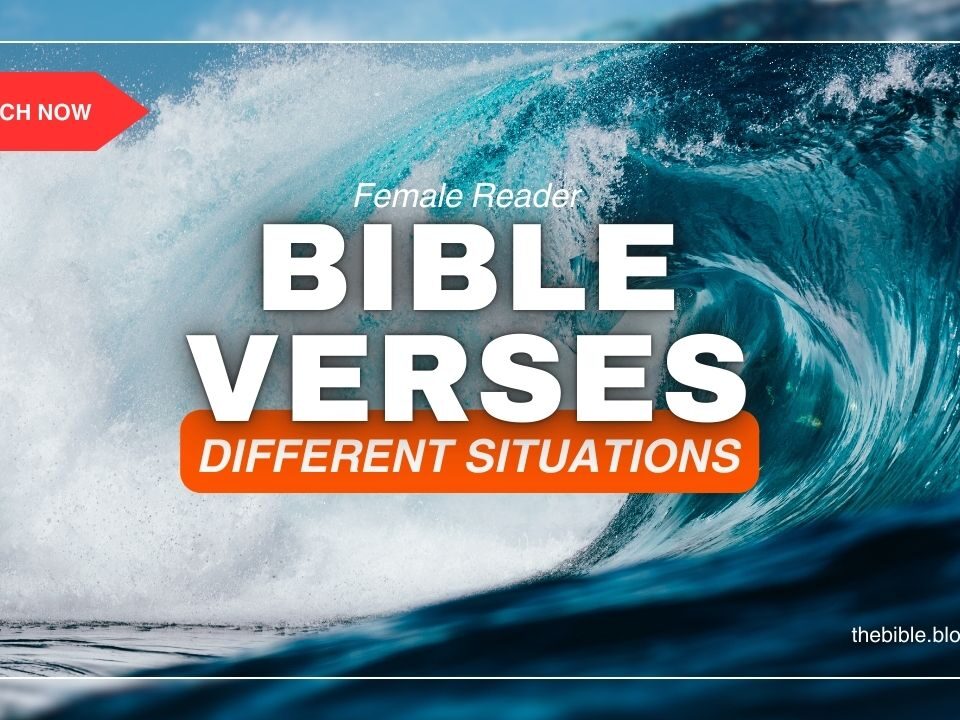 Bible Verses For Different Situations – Divine Wisdom