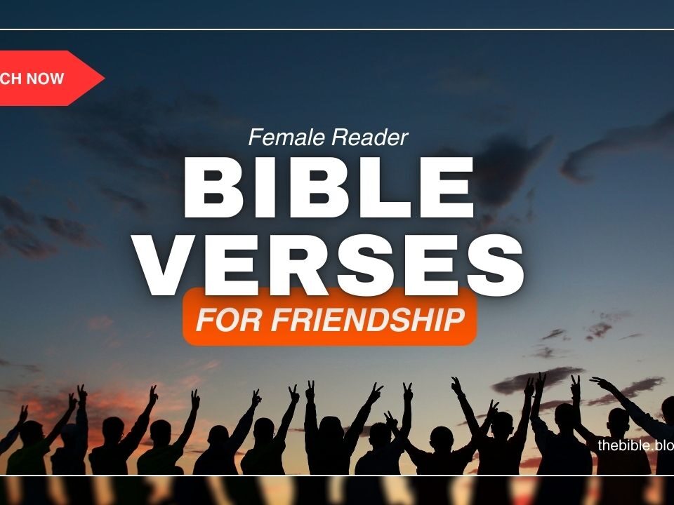 NIV Bible Verses about Friendship – Faithful Companions