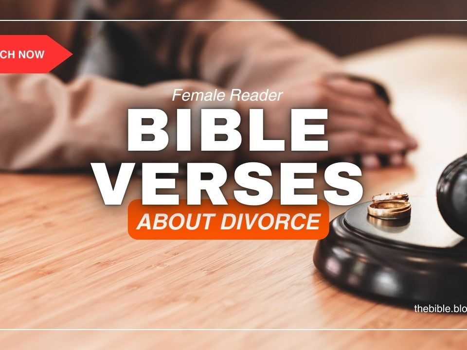 Bible Verses About Divorce – Finding Peace After Pain