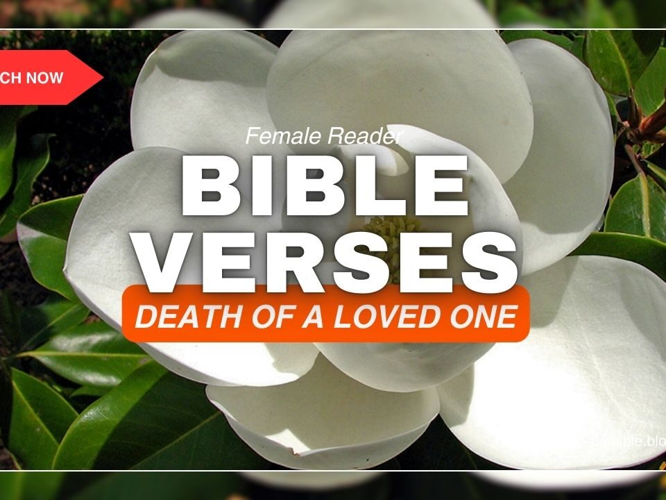 Bible Verses About Death Of A Loved One – Hope After Loss