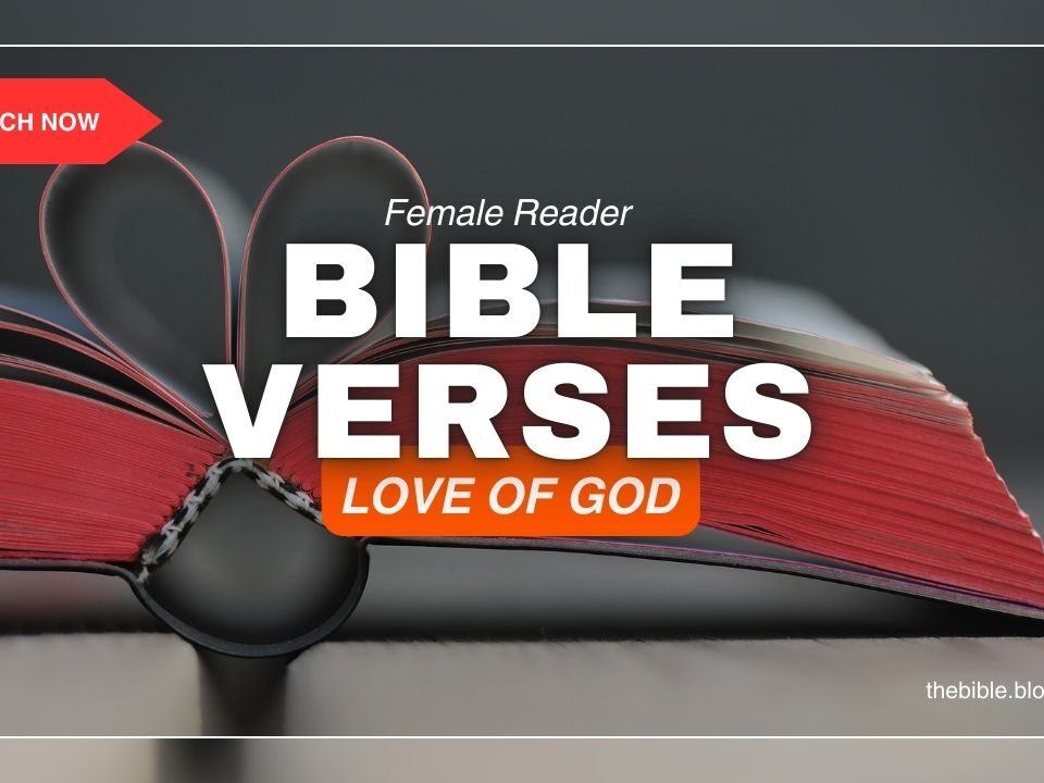 Bible Verses About The Love Of God – Unshakable and True