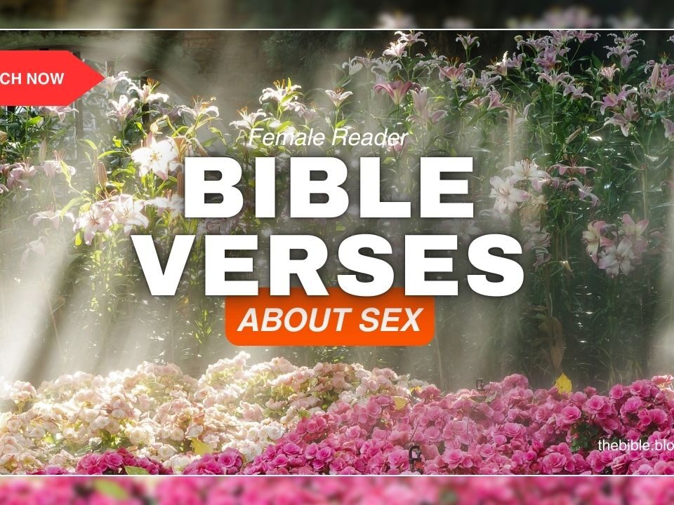 Bible Verses About Sex – Sacred Love God Designed