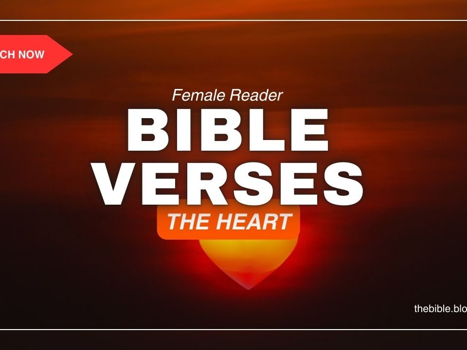 Bible Verses About The Heart – Let God Heal Your Hurt