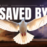 Bible Verses about Grace
