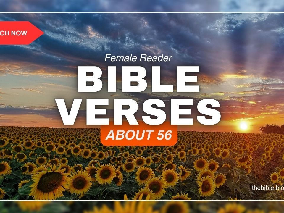 Bible Verses About 56 – Unlock the Spiritual Meaning