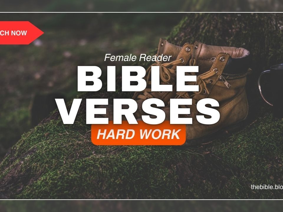 Bible Verses About Hard Work – Find Strength and Motivation