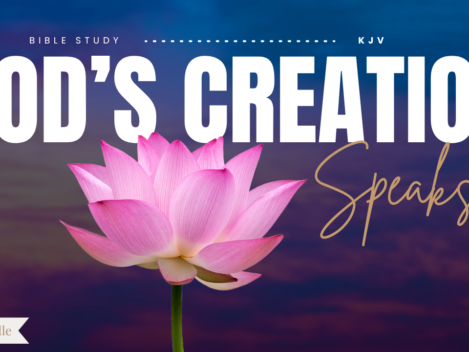 Bible Verses about Nature
