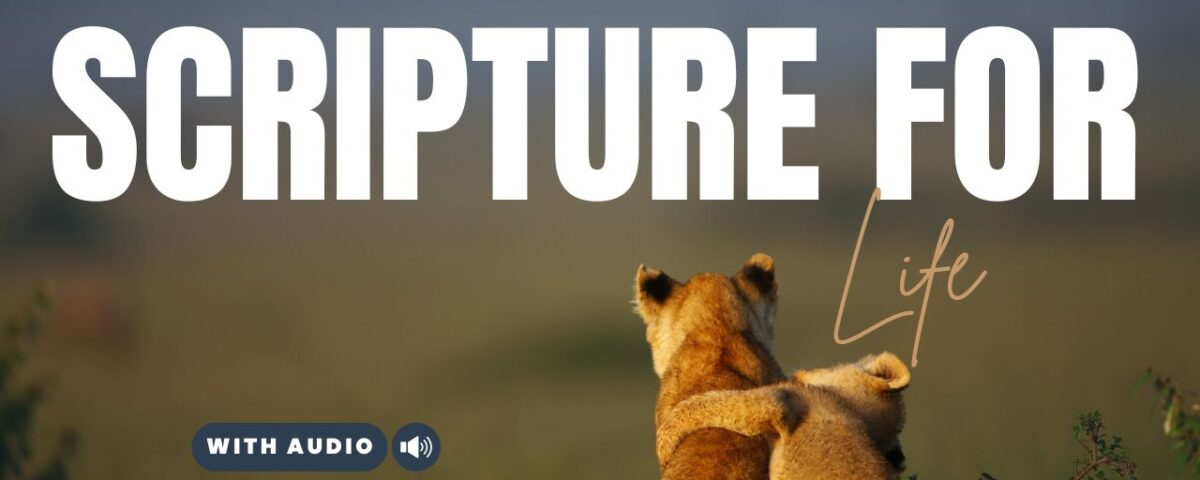 Bible Verses For Different Situations