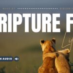 Bible Verses For Different Situations