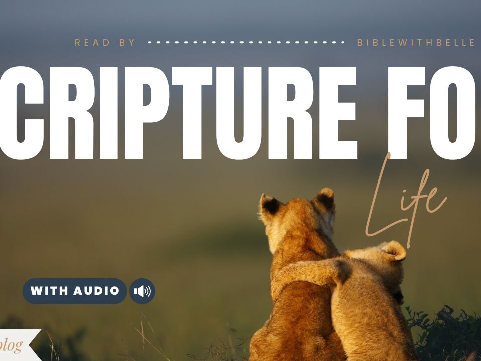 Bible Verses For Different Situations