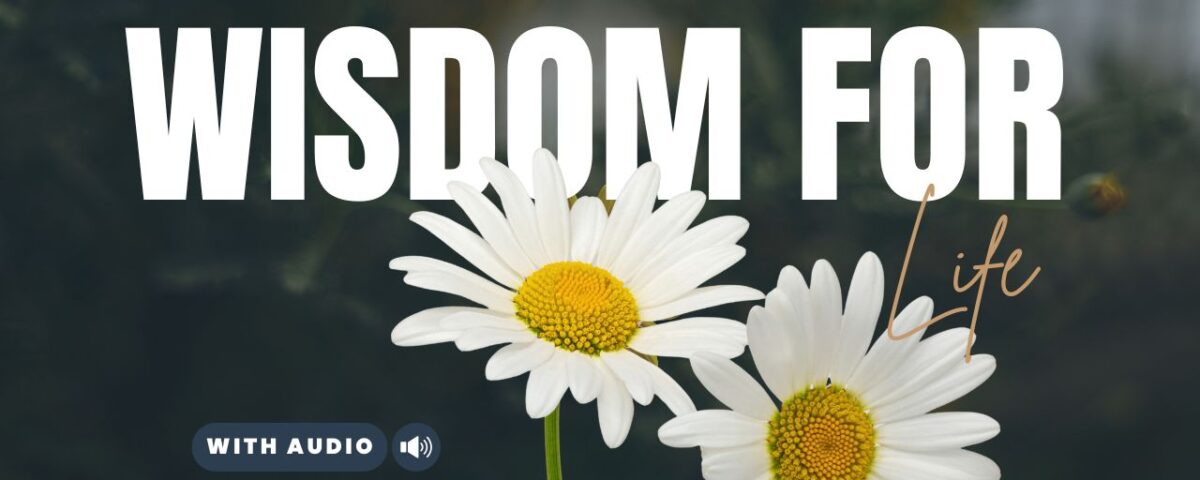 Proverbs Bible Verses About Life