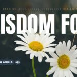 Proverbs Bible Verses About Life