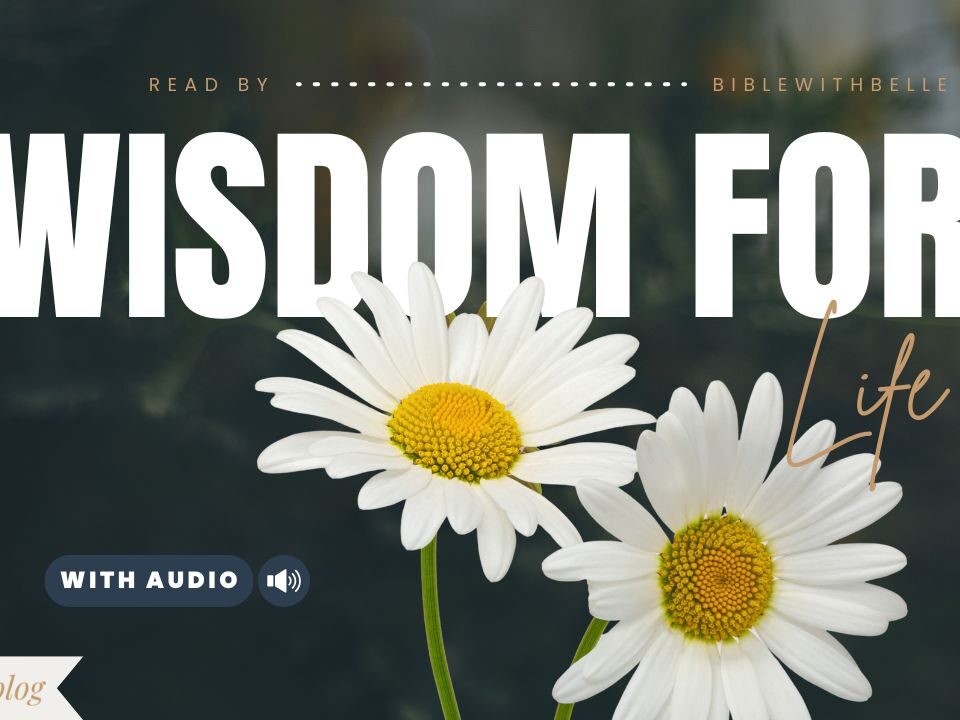 Proverbs Bible Verses About Life