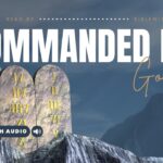 Bible Verses About 10 Commandments
