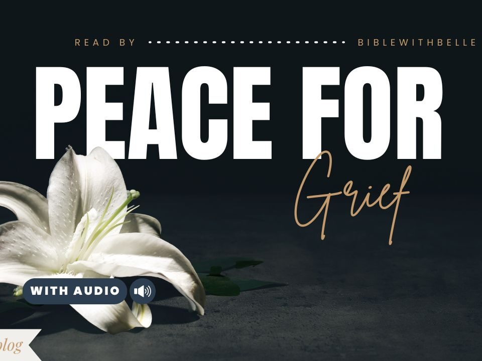 Bible Verses for Comfort When You Lose a Loved One