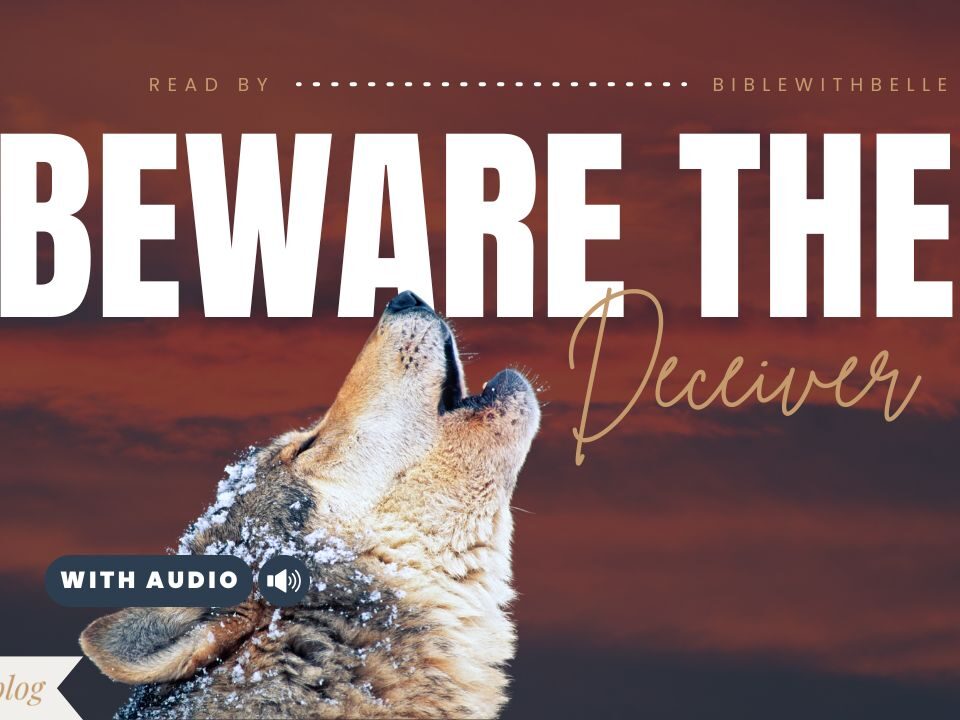 Bible Verses About False Appearances and Deception