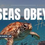 Bible Verses About Oceans