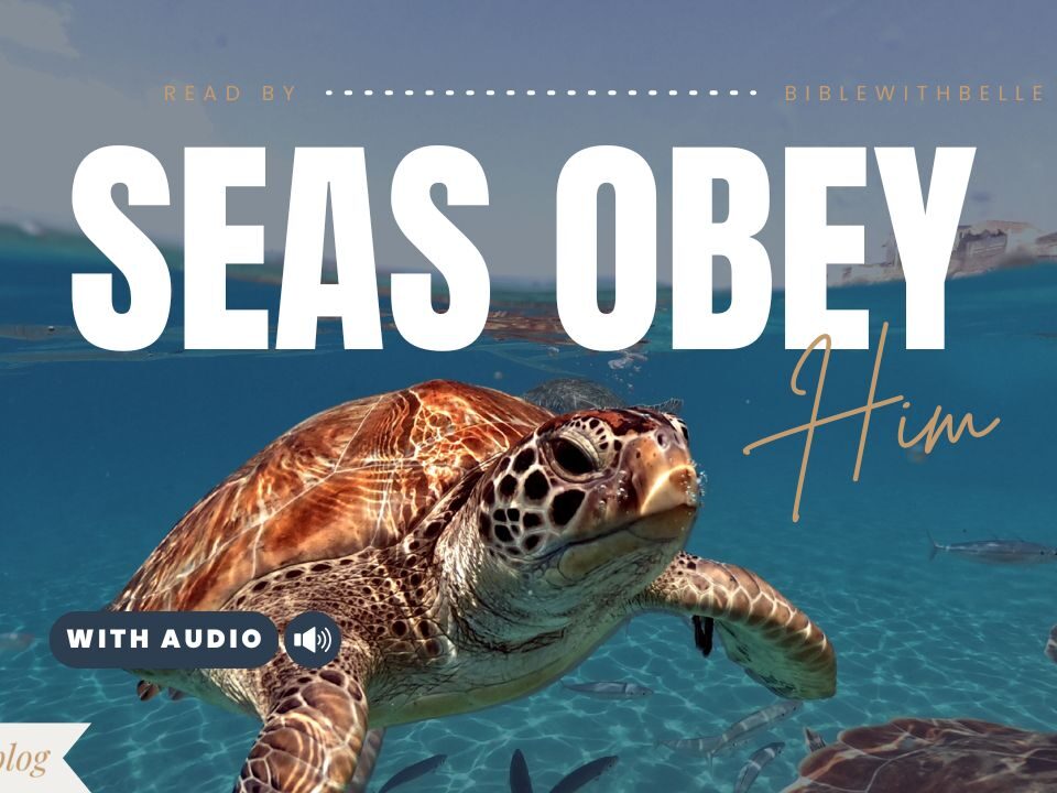 Bible Verses About Oceans