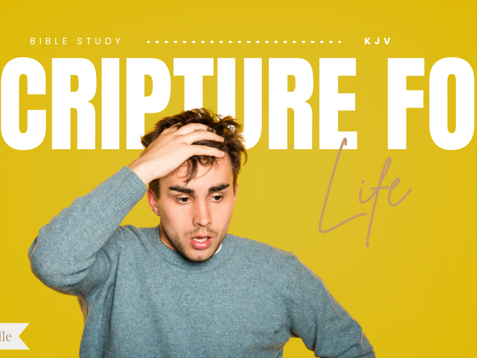 Bible Verses For Different Situations