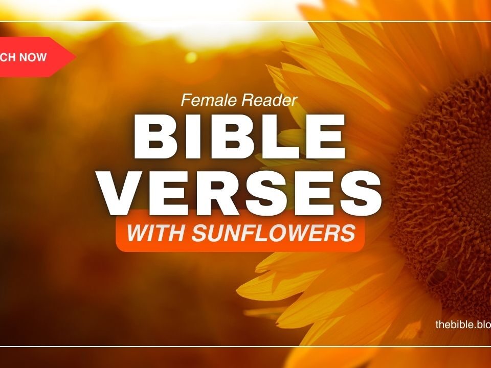 Bible Verses With Sunflowers – Embrace Hope That Follows Him