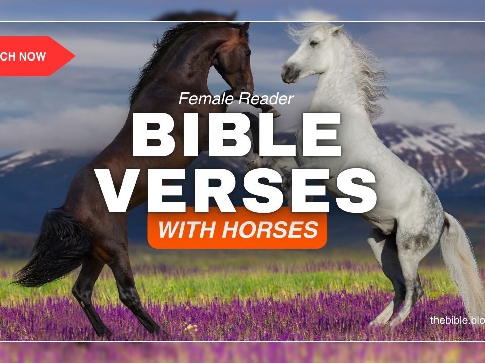 Bible Verses With Horses – Find Victory Through Faith