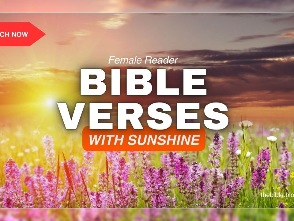 Bible Verses With Sunshine – Discover Joy in God’s Light