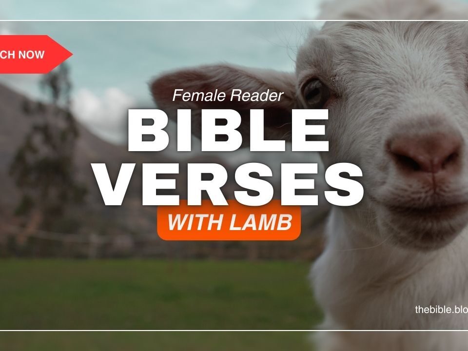 Bible Verses With Lamb – Embrace Grace in His Sacrifice