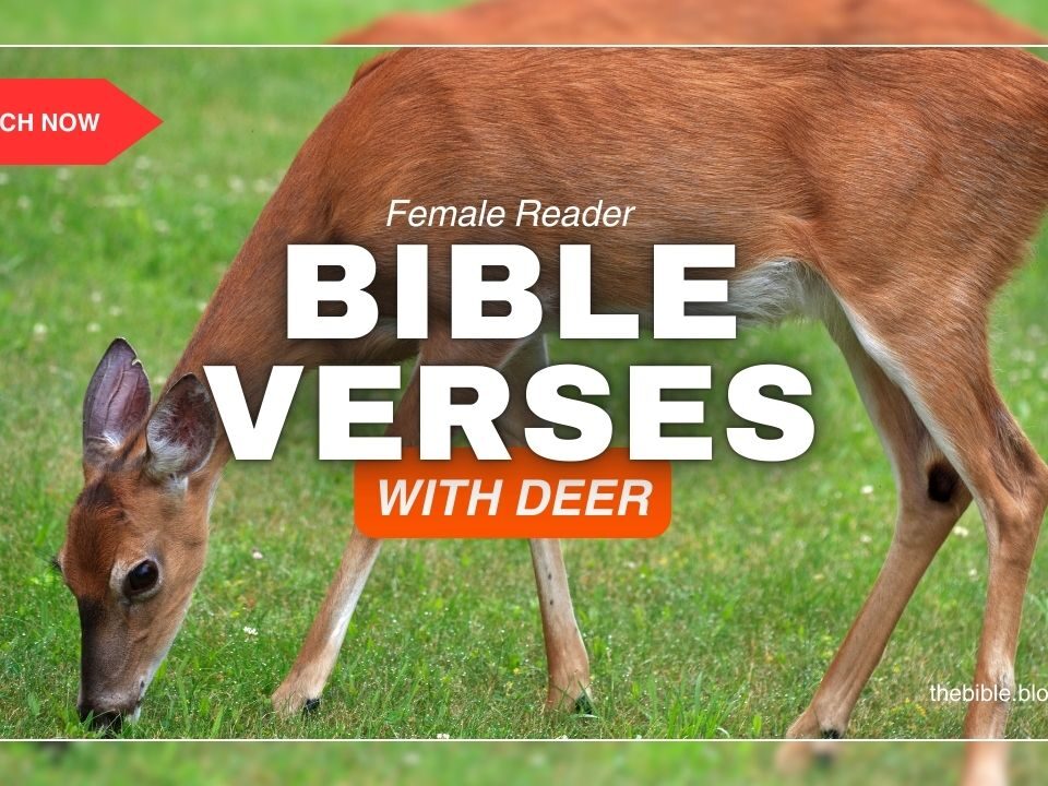 Bible Verses With Deer – Discover Peace in His Presence