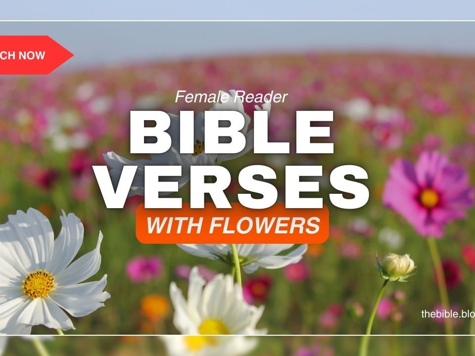 Bible Verses With Flowers – Find Peace in His Creation