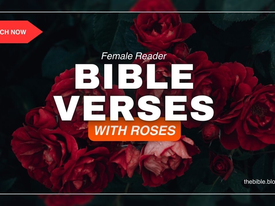 Bible Verses With Roses – Discover Grace in Every Petal