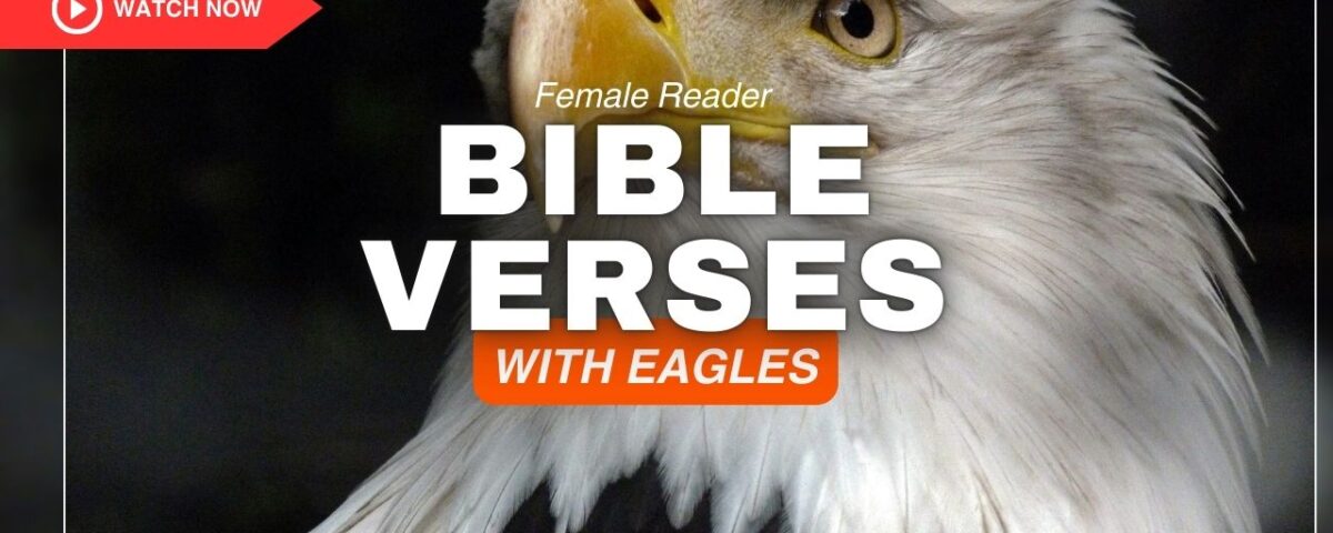 Bible Verses With Eagles – Discover Strength to Soar Higher