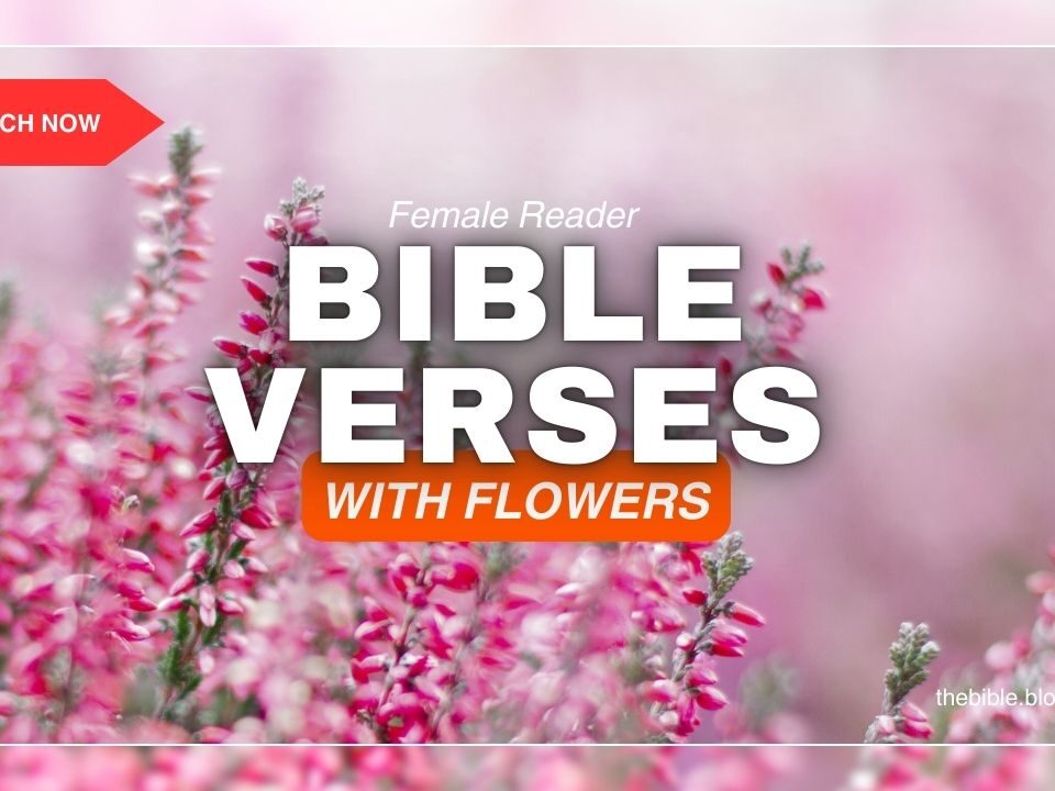 Bible Verses With Beautiful Flowers – Embrace His Promises