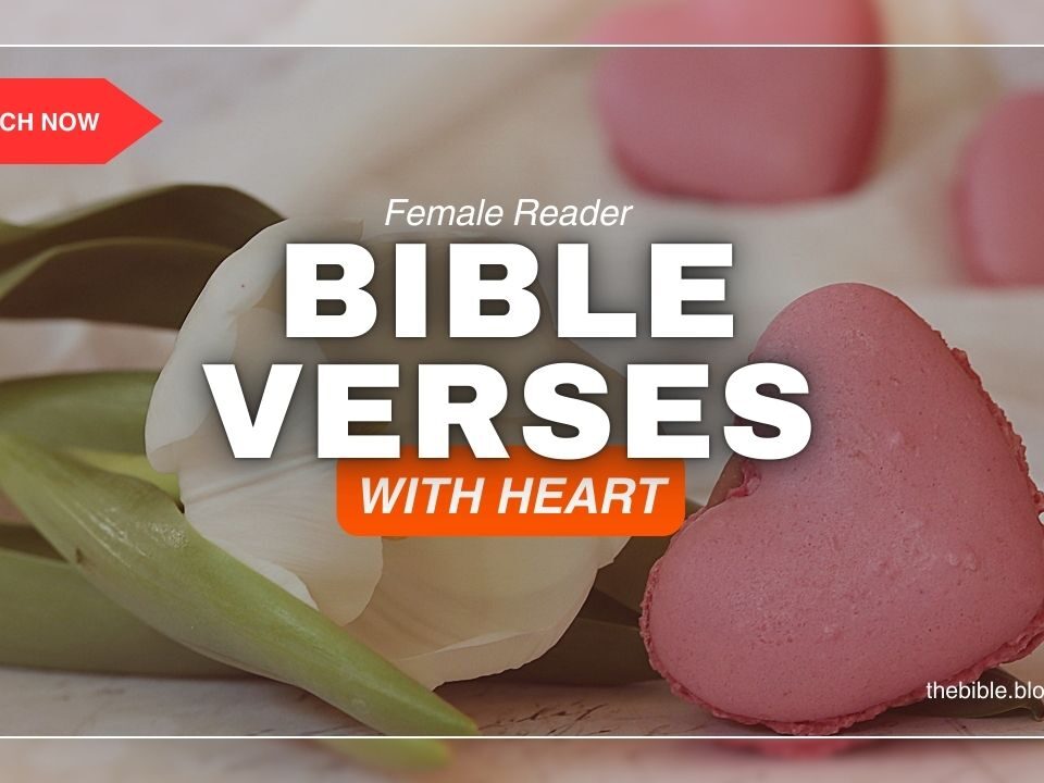 Bible Verses With Heart In Them – Discover God’s Love Within
