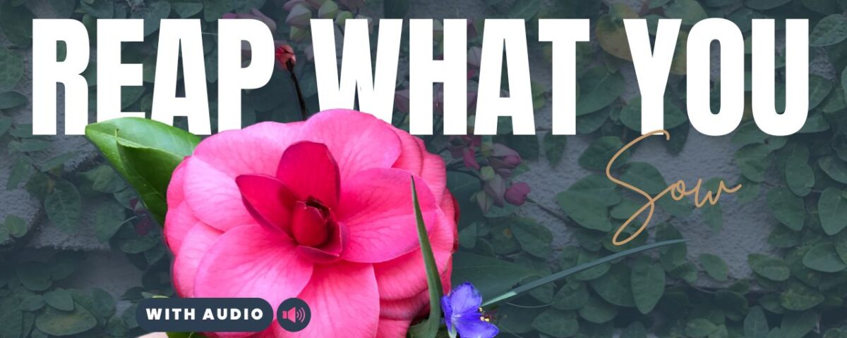 Bible Verses About Karma