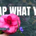 Bible Verses About Karma