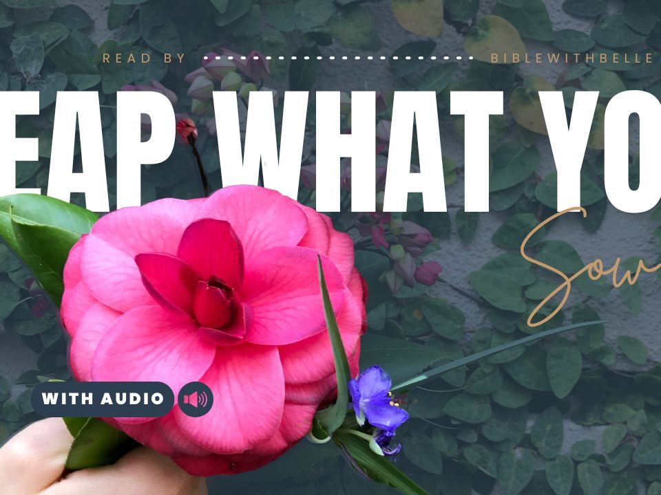 Bible Verses About Karma