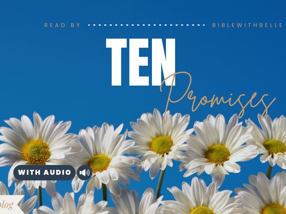 Bible Verses About 10