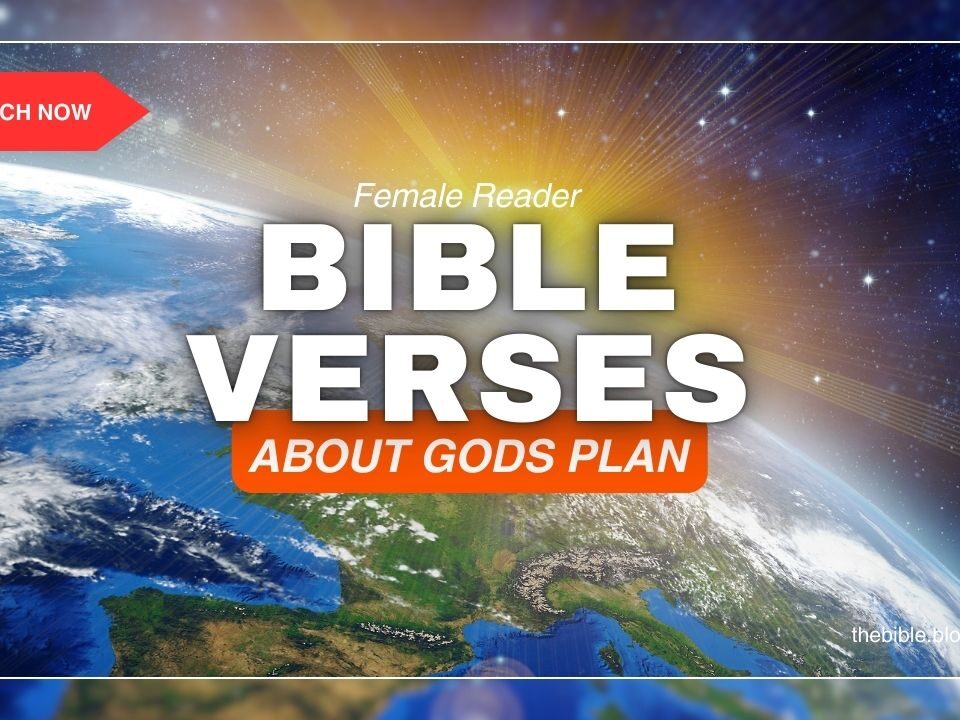 Bible Verses About God’s Plan – Discover Peace in His Purpose