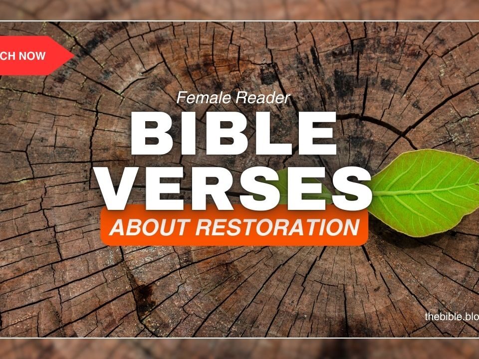Bible Verses About Restoration – Discover God’s Power to Renew
