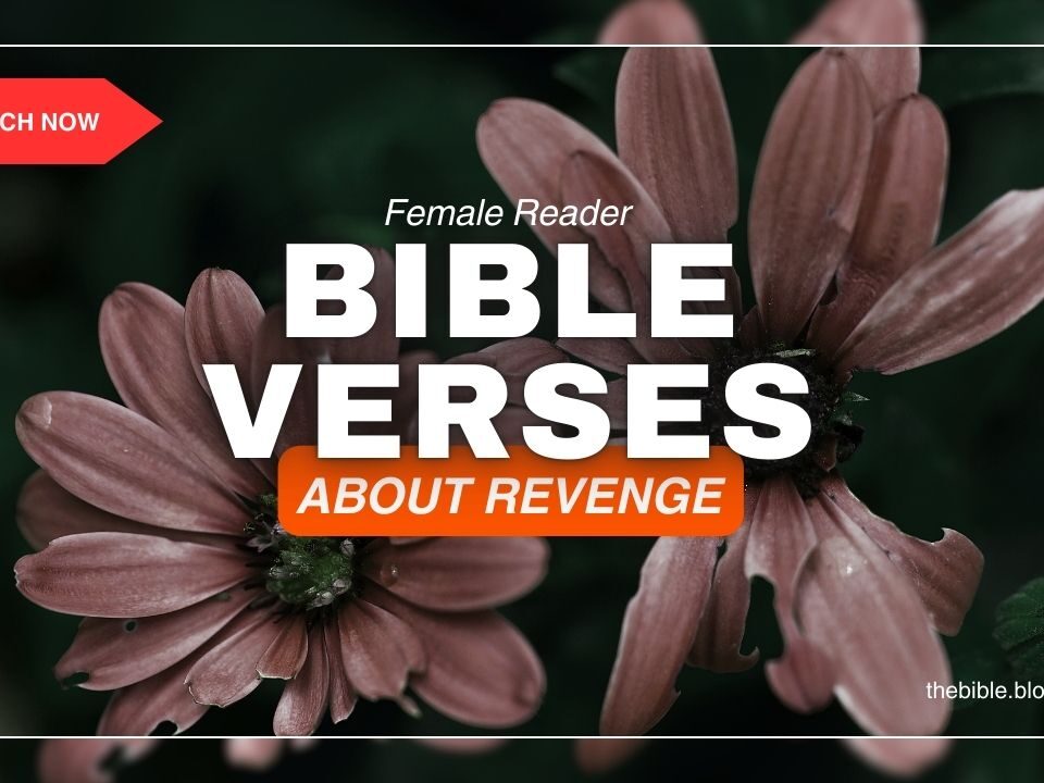 Bible Verses About Revenge – Overcome Anger With Divine Wisdom
