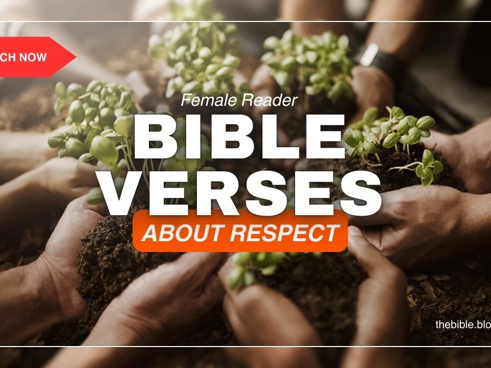 Bible Verses About Respect – Discover the Strength of Honor