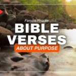 Bible Verses About Purpose – Embrace Meaning Through Faith