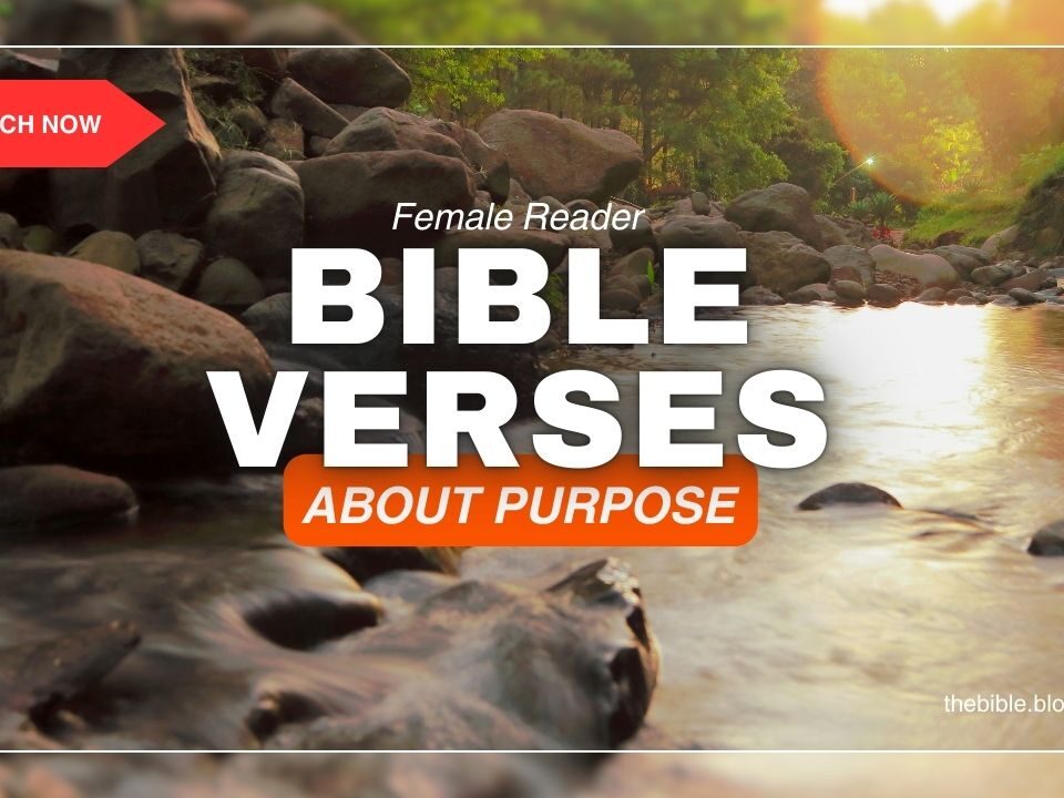 Bible Verses About Purpose – Embrace Meaning Through Faith