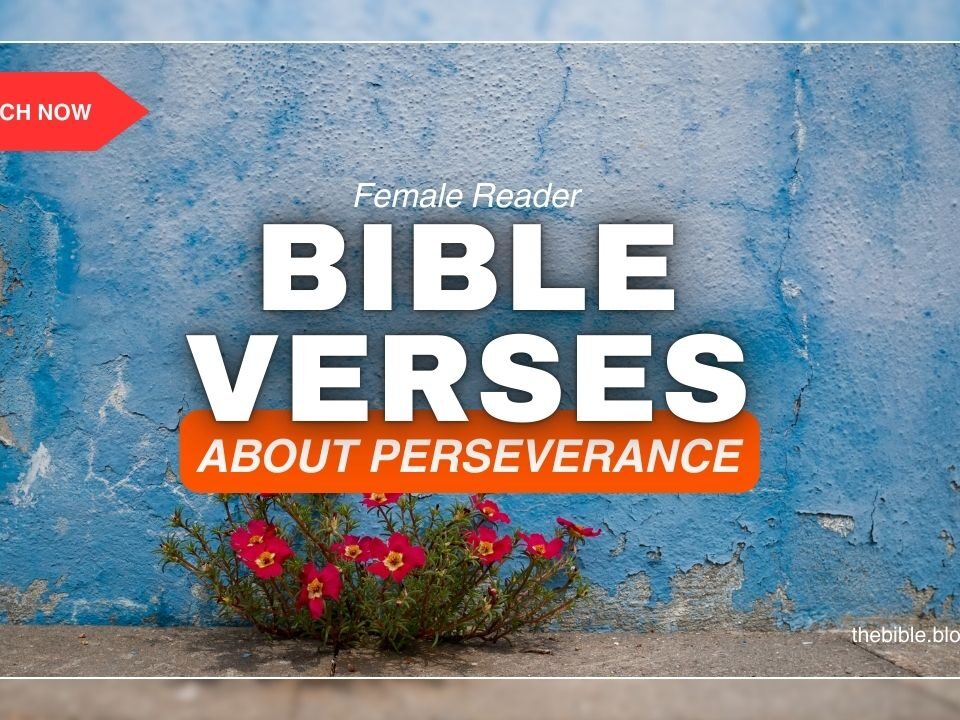 Bible Verses About Perseverance – Strength to Keep Going