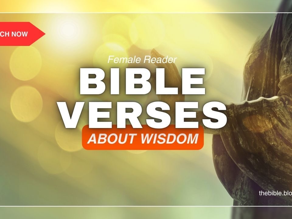 Bible Verses About Wisdom – Discover God’s Guidance for Life