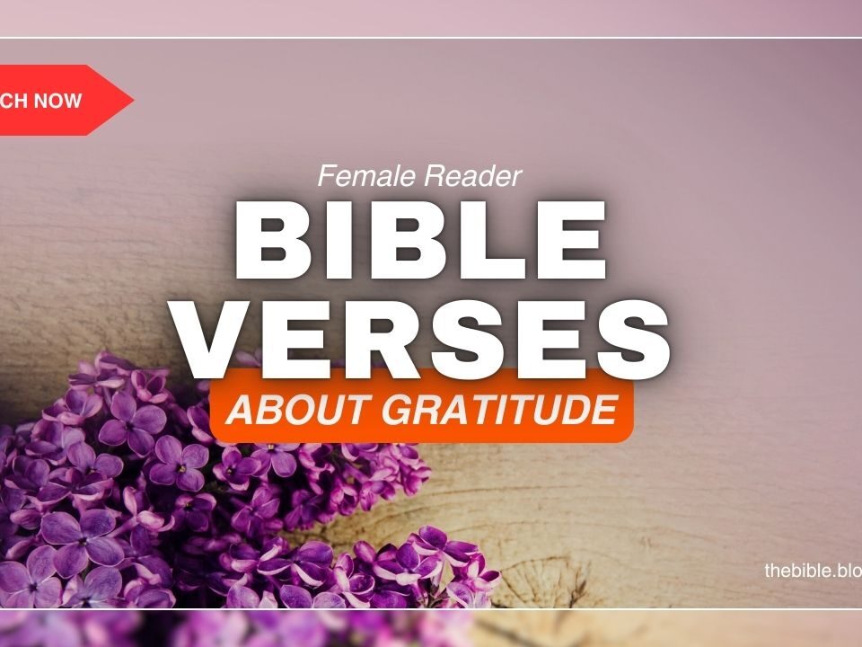 Bible Verses About Gratitude – Discover Joy in Every Blessing