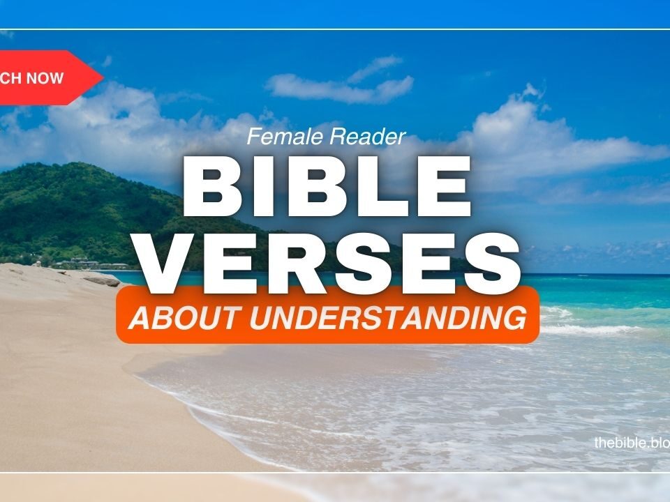 Bible Verses About Understanding – Clarity Through God’s Word