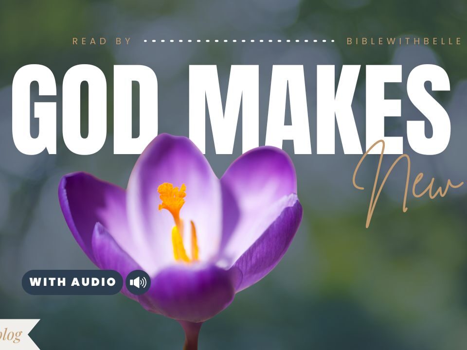 Bible Verses About New Beginnings