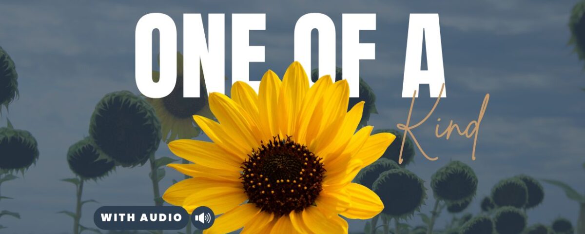 Bible Verses About Uniqueness