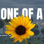 Bible Verses About Uniqueness